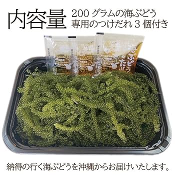 Amazon | 沖縄県産 海ぶどう 品質にこだわった 海ぶどう 生 タレ